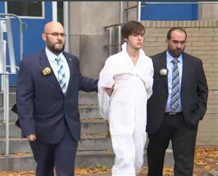 
Adnan Pelinkovic Age, Birthday, Wikipedia, Who, Nationality, Biography 