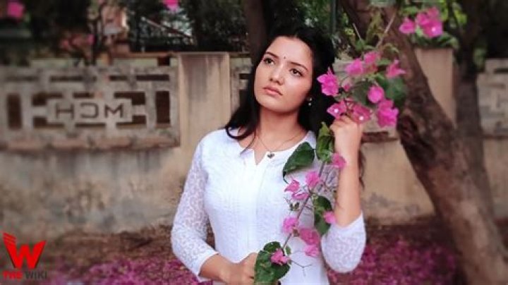 Ambika Vani Height, Weight, Net Worth, Age, Birthday, Wikipedia, Who, Nationality, Biography