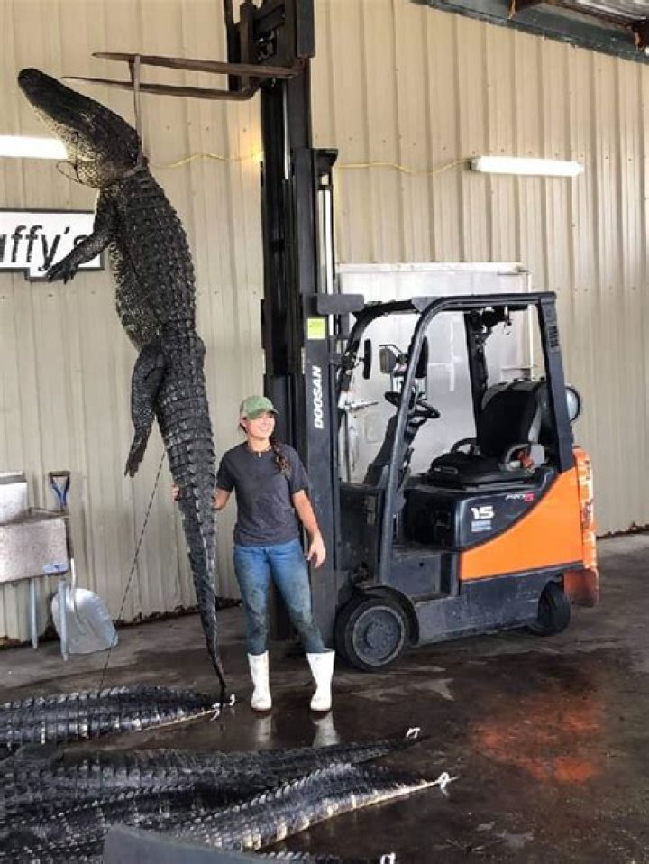 Barry Pepper Height, Weight, Net Worth, Age, Birthday, Wikipedia, Who, Instagram, Biography