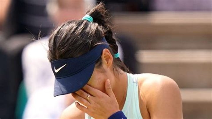 
Carolina Novaes Age, Birthday, Wikipedia, Who, Nationality, Biography 