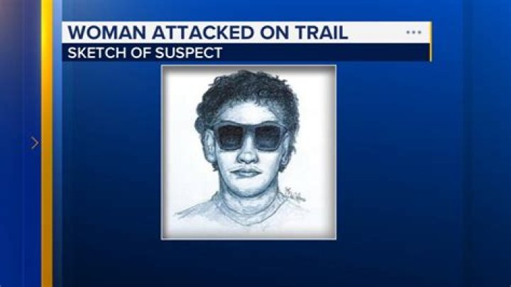 
Chicago police release sketch of man accused of sexually abusing 11-year-old girl walking home from school in Washington Park 