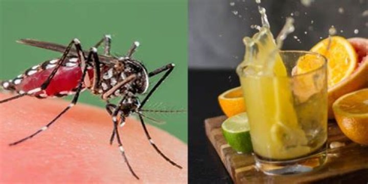 
Dengue patient in UP dies after allegedly given Mosambi juice instead of plasma 