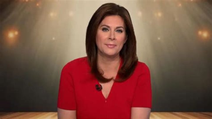 
Did Erin Burnett Have Plastic Surgery? Who is Erin Burnett? 