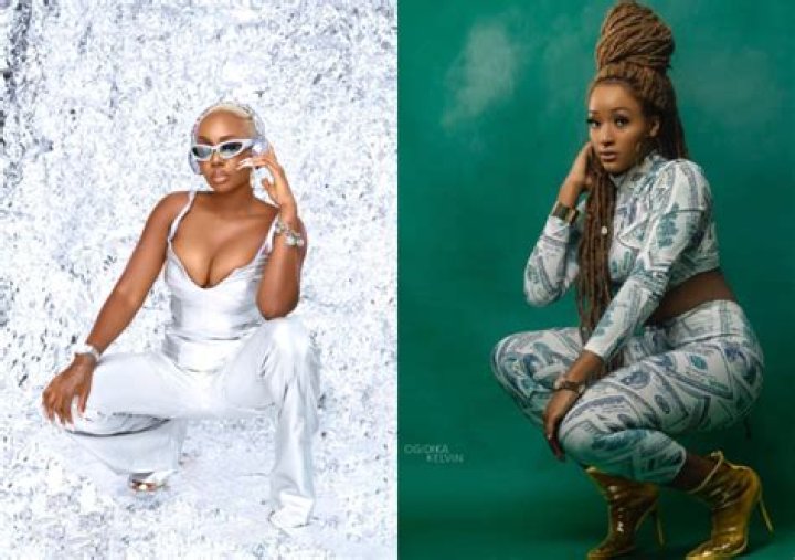 
DJ Barbie Shades Tolani Baj Over DJ Career 