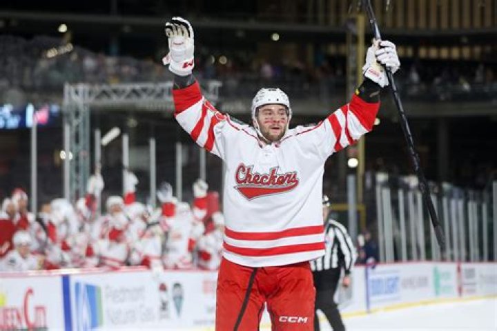 
Does Alex Westlund Have A Wife? All About The Detroit Red Wings Goalie Coach Married Life 