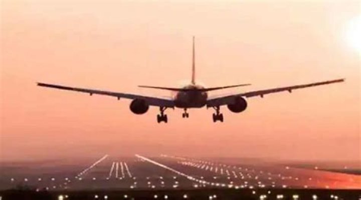 
Domestic air traffic registers annual growth of 64.61% 