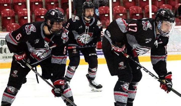 
Eli Palfreyman, 19, Junior Hockey Team’s Captain, passed away 