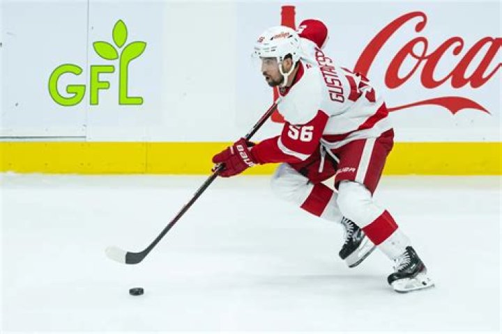 Erik Gustafsson Height, Weight, Net Worth, Age, Birthday, Wikipedia, Who, Instagram, Biography