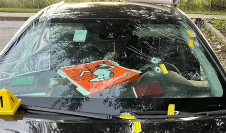 
Florida man shot at homeless family of 5 in car, struck pregnant mom: police 