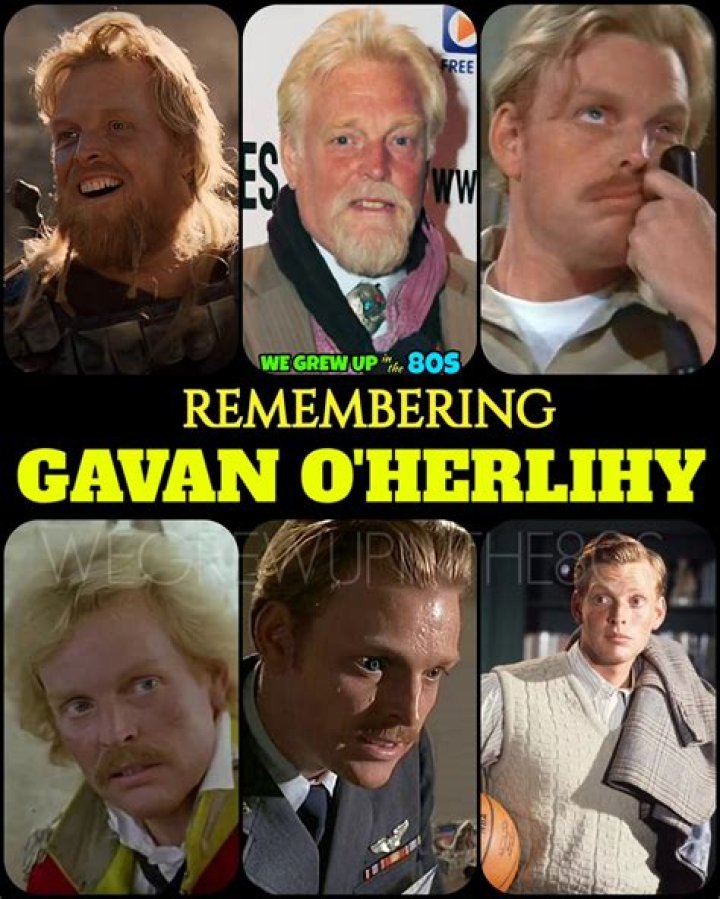 
Gavan O’Herlihy Height, Weight, Net Worth, Age, Birthday, Wikipedia, Who, Nationality, Biography 