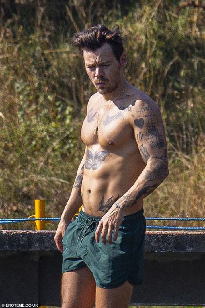 How hardcore are Harry Styles’s nude scenes in his next movie?