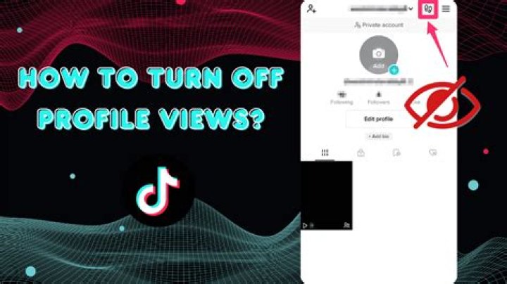 
How To See Profile Views On TikTok And How To Turn Off This History On TikTok? 