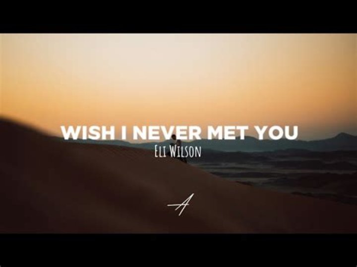 I Wish We Never Met TikTok Song and Lyrics Explained And All Details