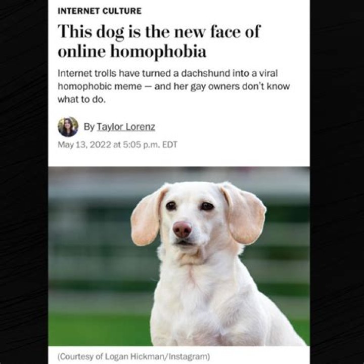 
“In 2023 too”: Millie Bobby Brown homophobic memes take over internet as Noah Schnapp comes out 