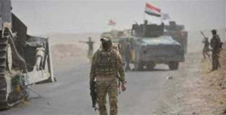 
Iraqi forces kill 5 IS militants in Iraq 