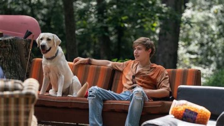 
Is Netflix’s Dog Gone based on a true story? 