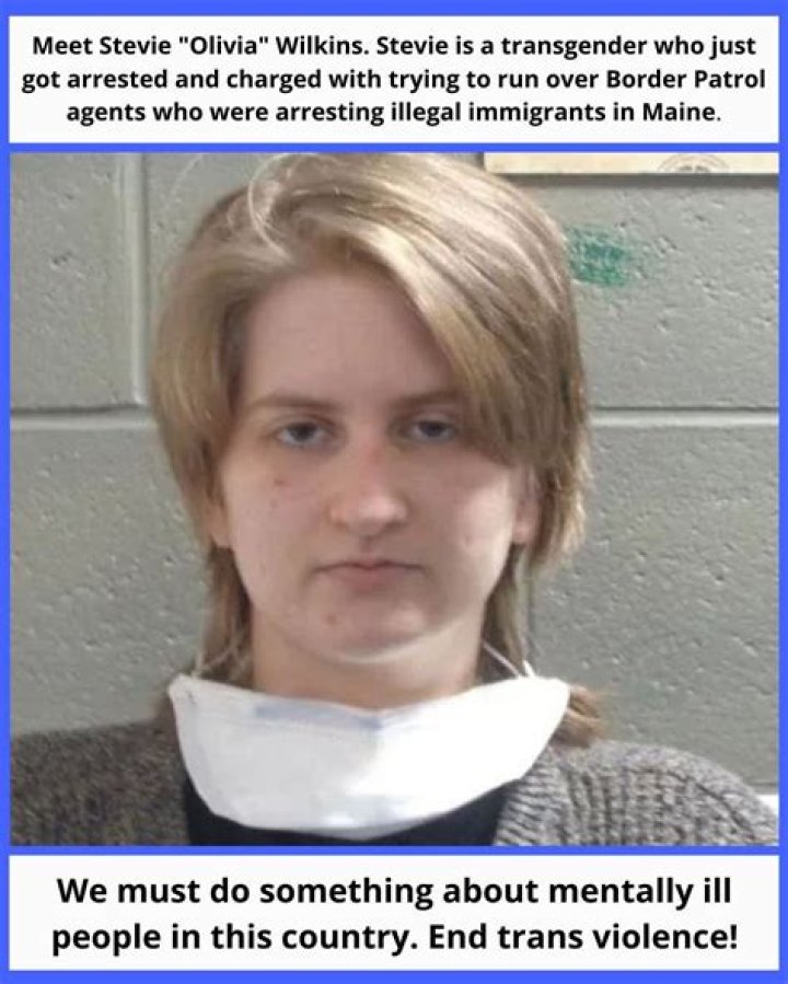 
Is Pip Wilkins Transgender? 