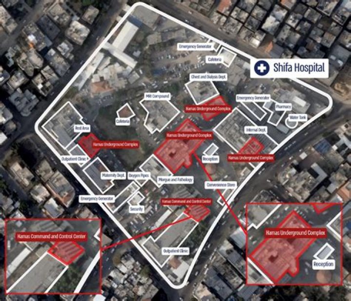 
Is Stan Shore Arrested Over Cannabis Cocaine Trafficking? Here’s What We Know 