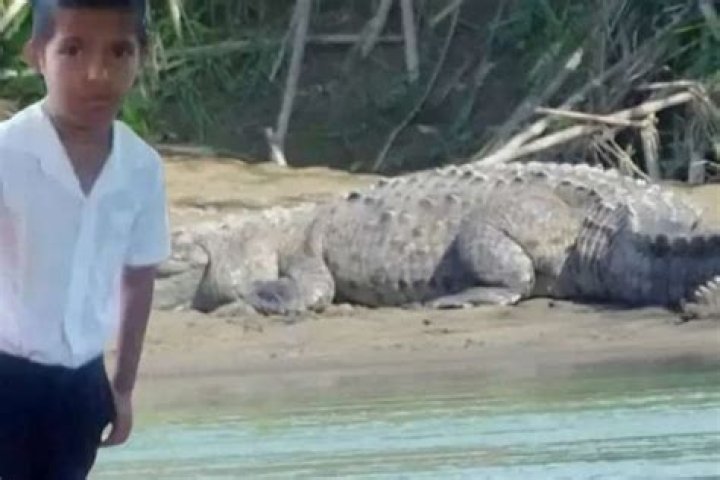 
Julio Otero Fernández, was killed by the Predator in front of his Parents 