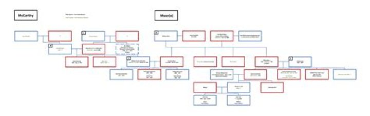
Kevin McCarthy | Relation With Joseph McCarthy? Family Tree 