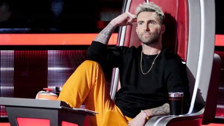 Matthew Levine Net Worth, Age, Birthday, Wikipedia, Who, Nationality, Biography