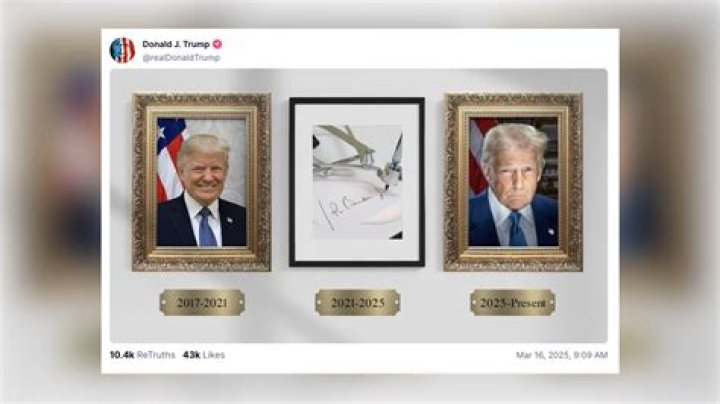 
Missing Woman Anya Kelsing’s Portrait Is Famous On Reddit & Here is Why 