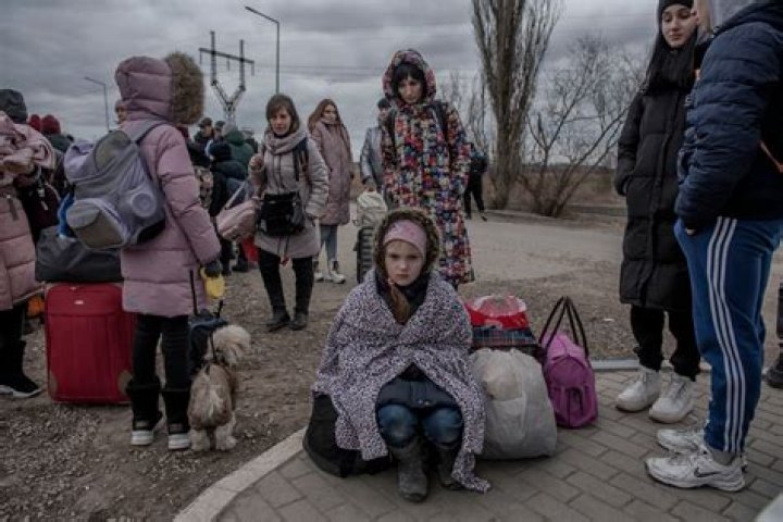 
People Are Looking For Lynsey Addario Ukraine Family Photo As New York Times Puts Out A Story 