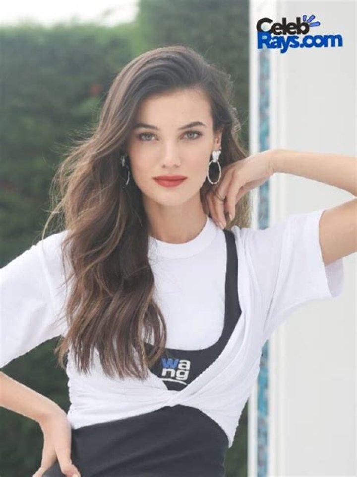 Pınar Deniz Height, Weight, Net Worth, Age, Birthday, Wikipedia, Who, Nationality, Biography