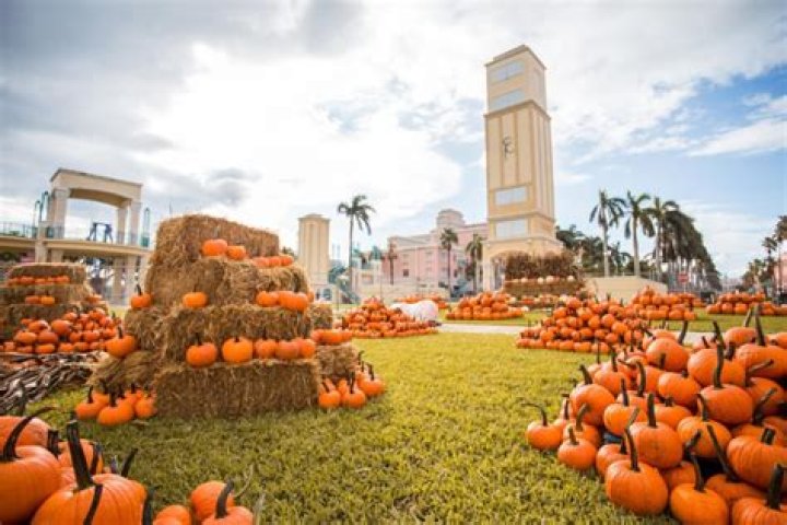 👻SPOOKY Safari & Pumpkin Patch🎃 | Macaroni KID Boynton Beach