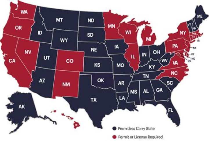 
States with relaxed concealed carry laws see spike in violent crime: studies 