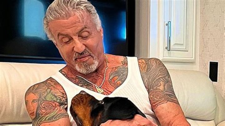 Sylvester Stallone’s Tattoos, Plastic Surgery and Body Transformation Then and Now