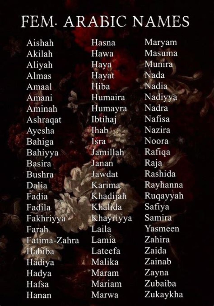 The Arabian Princess Height, Weight, Net Worth, Age, Birthday, Wikipedia, Who, Nationality, Biography