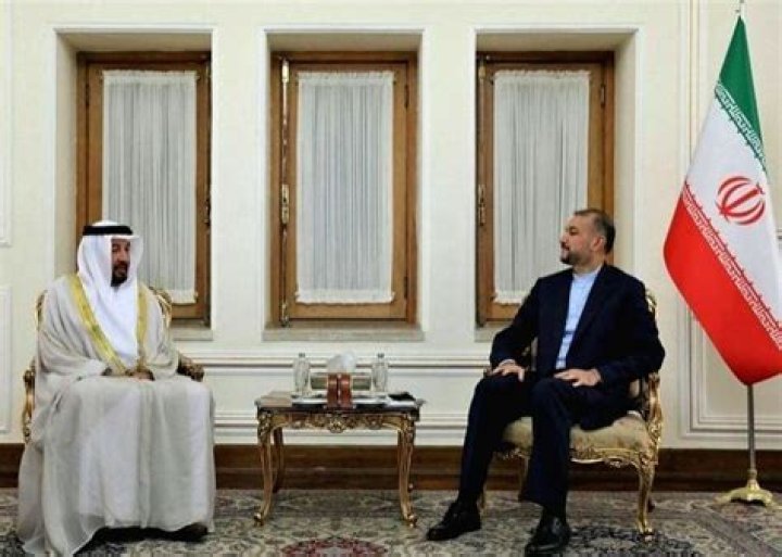 
UAE envoy resumes duties in Iran after 6 yrs 