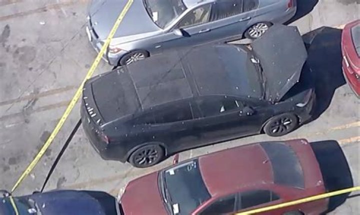 
What did Justin Carver do? Florida man charged as mother’s decomposing remains found hidden inside her home 