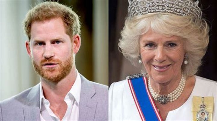 
What did Prince Harry say about Camilla? Duke of Sussex blasts ‘dangerous villain’ in fiery Anderson Cooper 60 minutes interview 