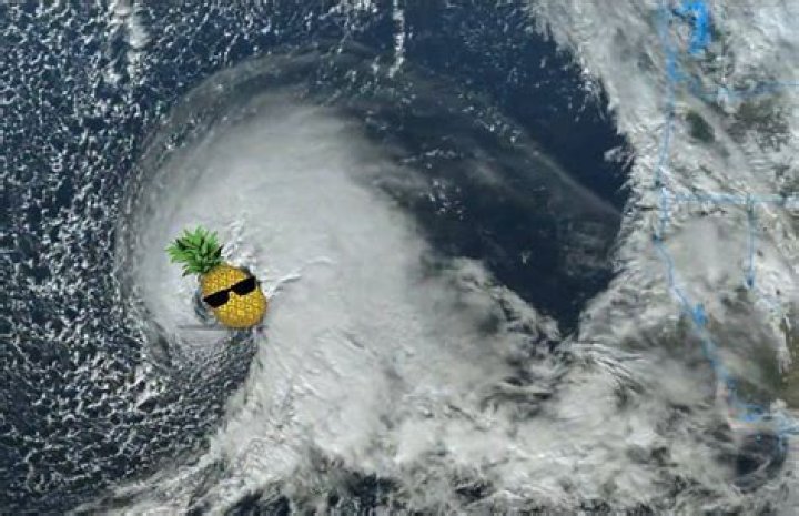 
What does Pineapple Express mean? Bomb Cyclone California path takes over social media 