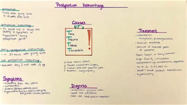 
What Happened To Dr Archana Sharma? PPH Complications In Medical Causes Problems For The Doctors Family 