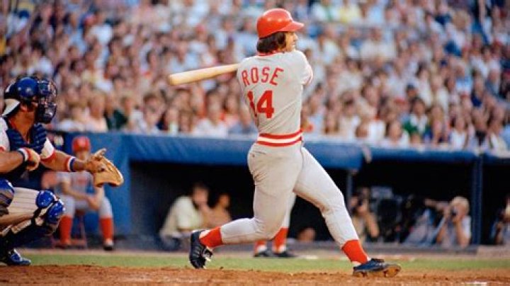 
What Happened To Seth Johnson? Former Baseball Player Passed Away 