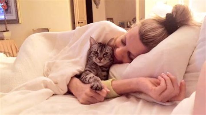 
What Happened To Vanna White Cat Stella? Wheel Of Fortune Pet Tribute Following Death 