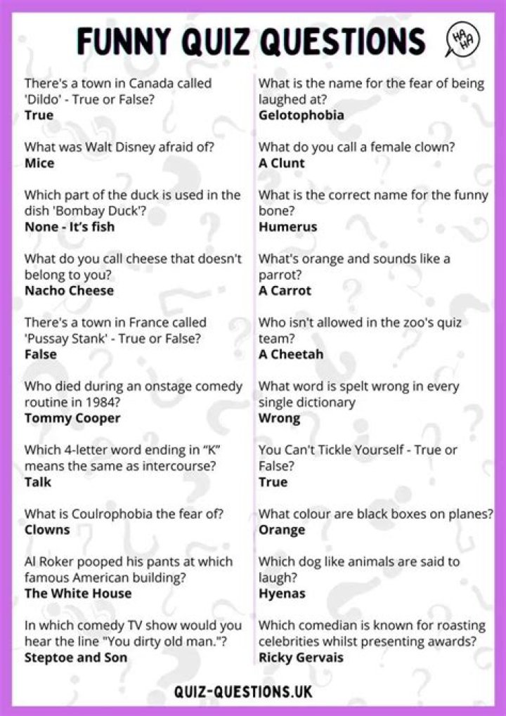 What is Are You Dumb Quiz?