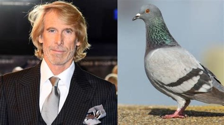 
What is Michael Bay’s net worth? Fortune explored as director gets charged with killing pigeon 