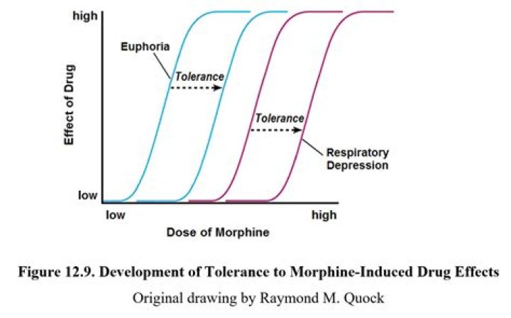 
What is peyote? Jane Fonda opens up on a horrible experience with the drug 