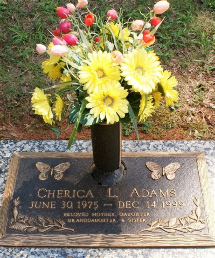
What Triggered Cherica Adams’ Dying? 