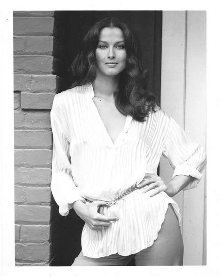 Where is Veronica Hamel now? What is she doing today? Wiki