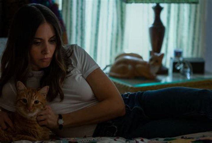 Where was Somebody I Used to Know shot? Filming locations of Prime Video movie explored