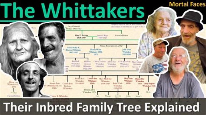 
Who are Maria Whittakers Parents? Maria Whittaker Biography, Parents Name and More 