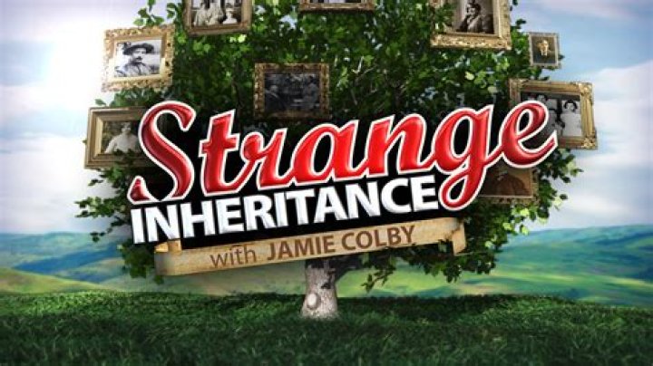 Who is Jamie Colby from “Strange Inheritance”? Her Bio: Fox News Career, Net Worth Today, Affair, Salary, Dating, Socials, Marriage, Story
