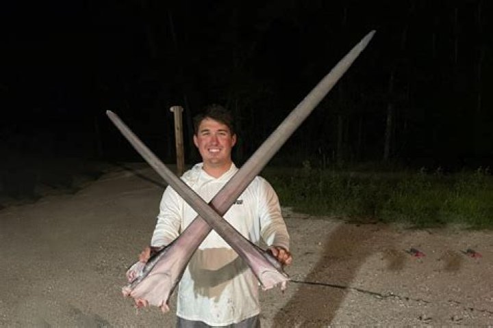 
Who Is Joseph Faucheaux Natchitoches Louisiana? Joe Fauch Viral Video Is Taking Over TikTok 