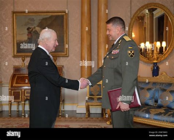 
Who Is Valerii Zaluzhnyi? Details To Know About The Ukrainian Lieutenant General 
