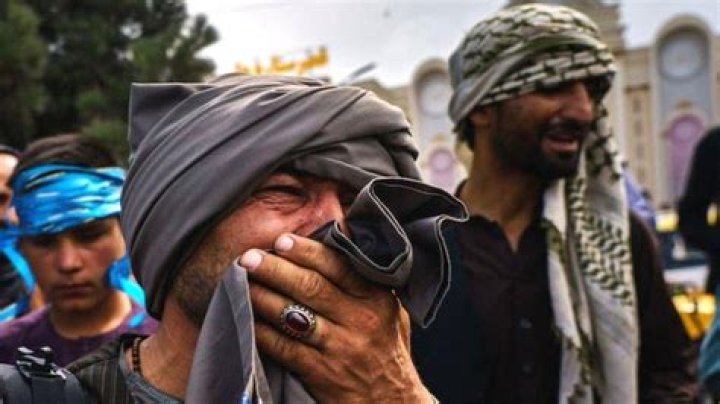 
Who was Mursal Nabizada? What happened to the Former Afghan MP? Revealed 